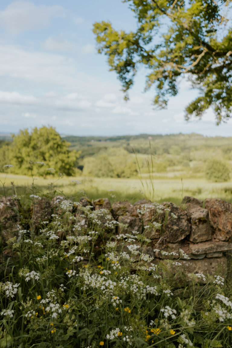 3 Scenic Cotswold Walks That Finish with Food Worth Walking For