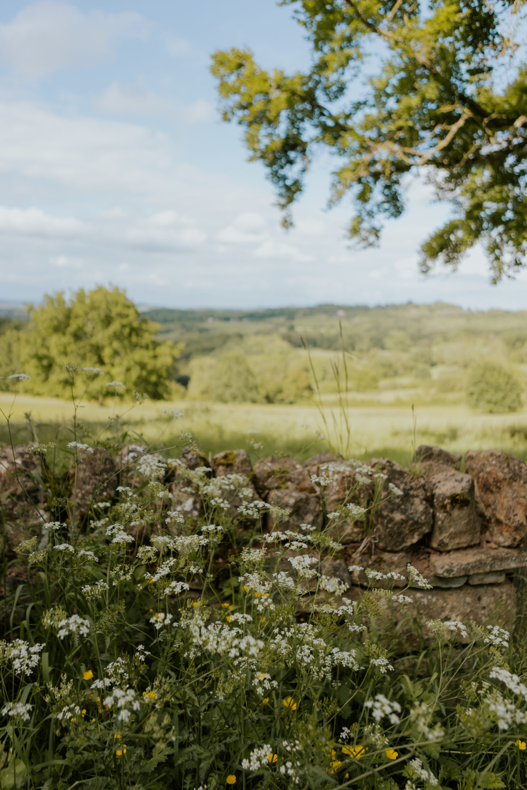 3 Scenic Cotswold Walks That Finish with Food Worth Walking For