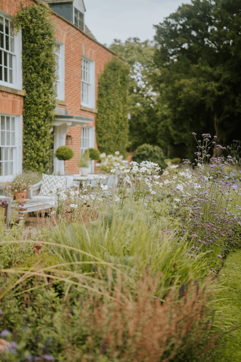 How To Create A Heavenly Herbaceous Border
