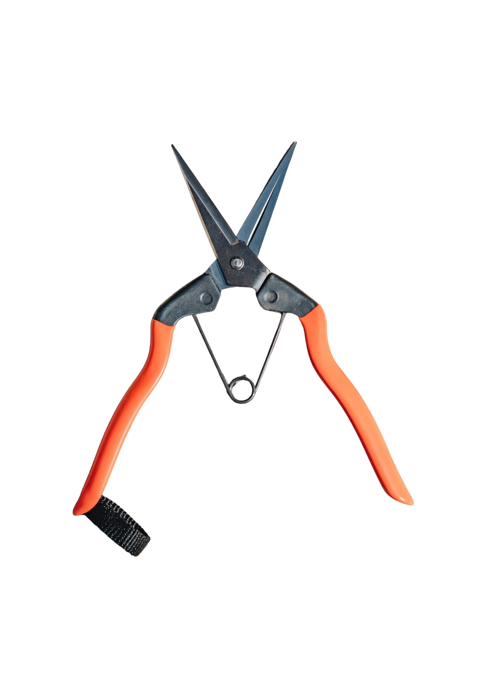 Garden Snips