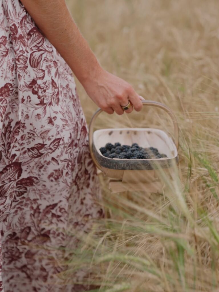 Hedgerow Harvests: A Guide to Foraging Respectfully