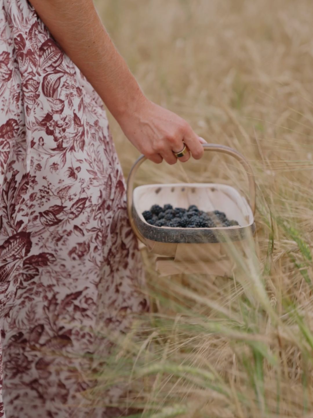 Hedgerow Harvests: A Guide to Foraging Respectfully