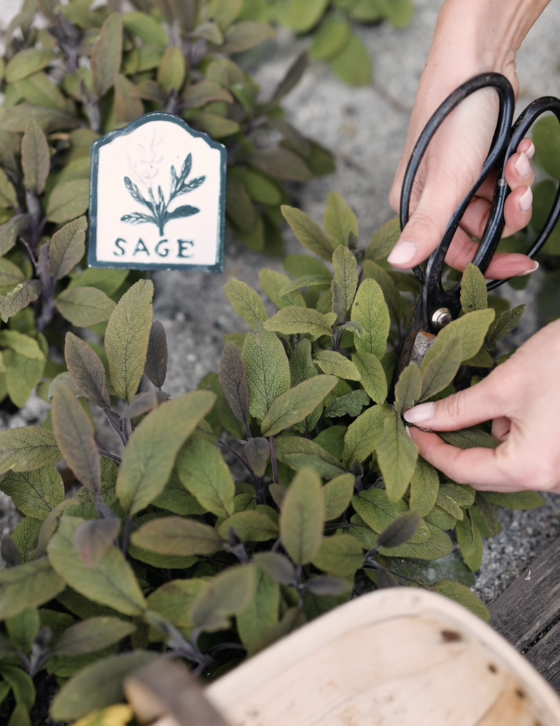 4 Easy Ways To Preserve Your Herbs For Winter